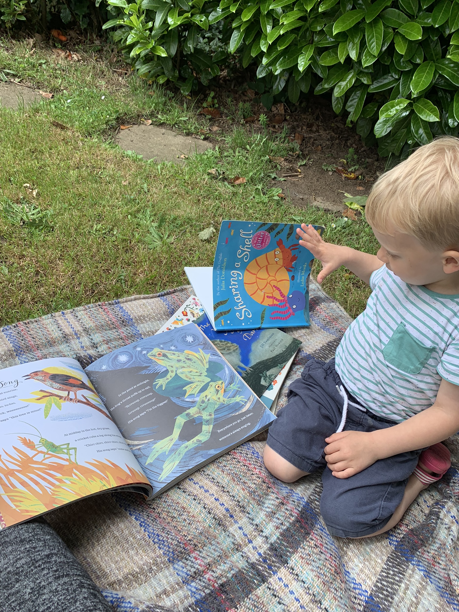 Nature books with kids